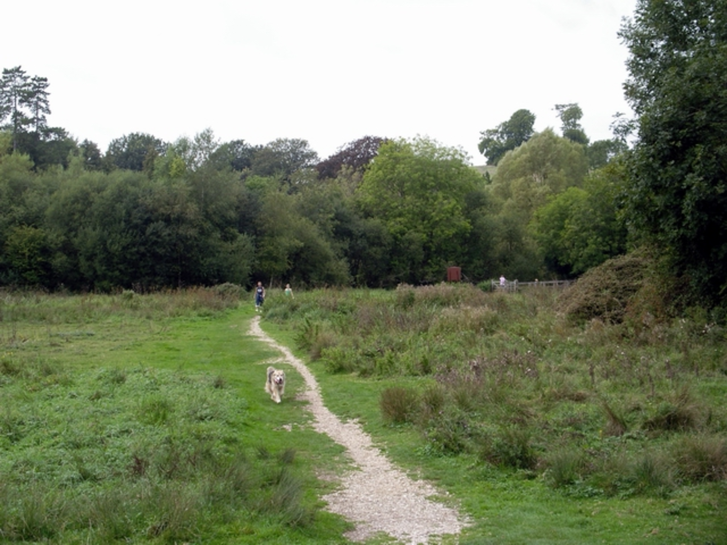 An image depicting the trail Fullerton Circular Walk via River Test and its surrounding area.