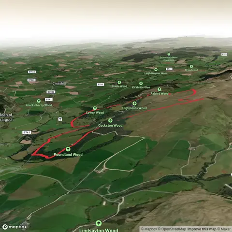 Barony Hill from Cowan woods
