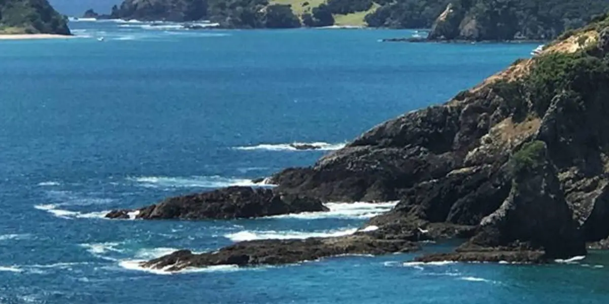 Moturua Island Track