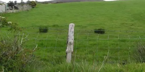 An image depicting the trail Bree Trail - Ballybrittas Walk and its surrounding area.