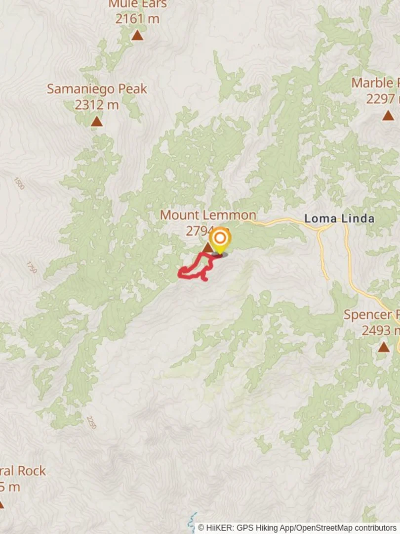 Meadow Mount Lemmon Loop Trail Pima County Arizona