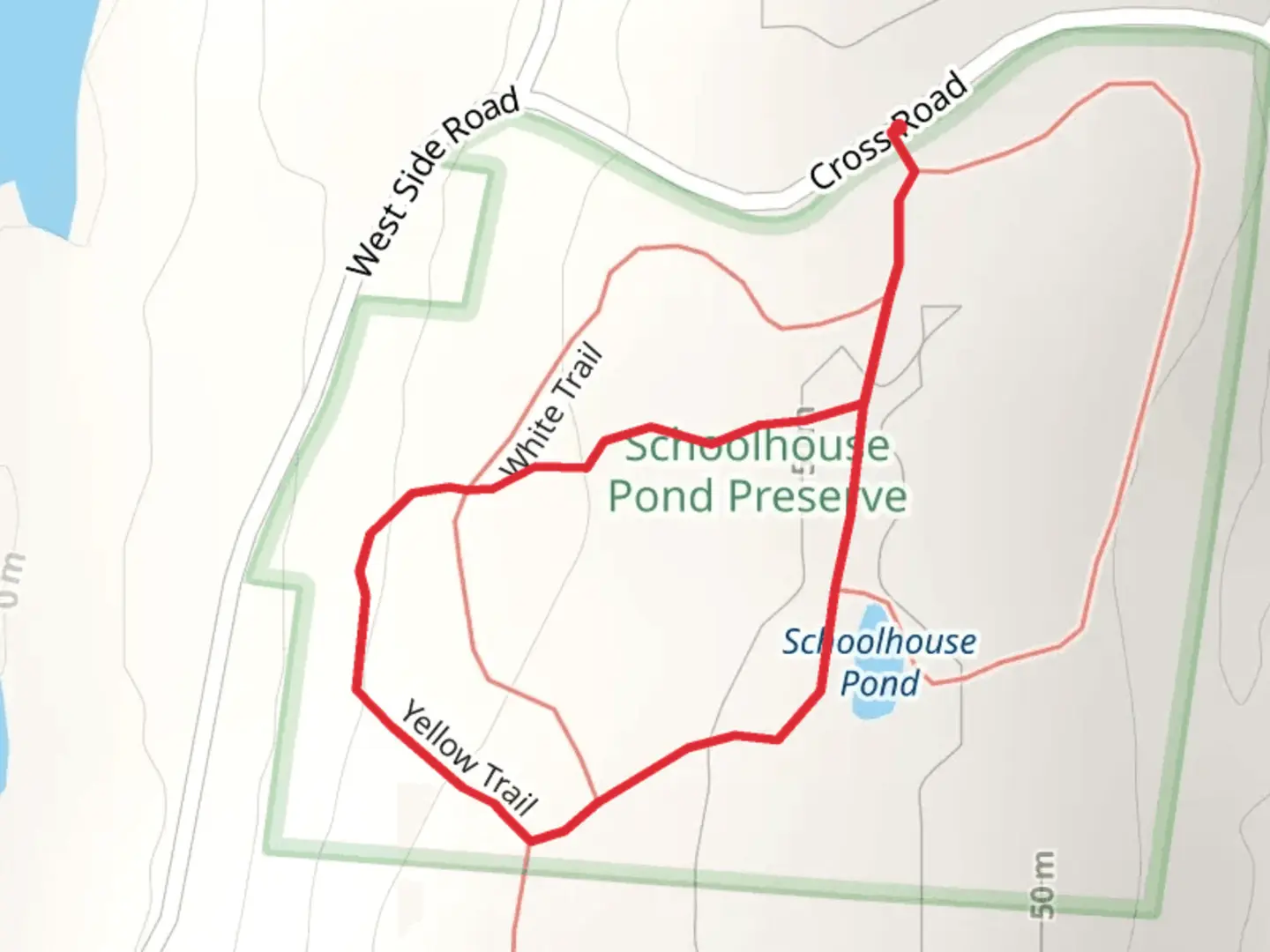 An image depicting the trail Schoolhouse Pond via White and Yellow Trail and its surrounding area.