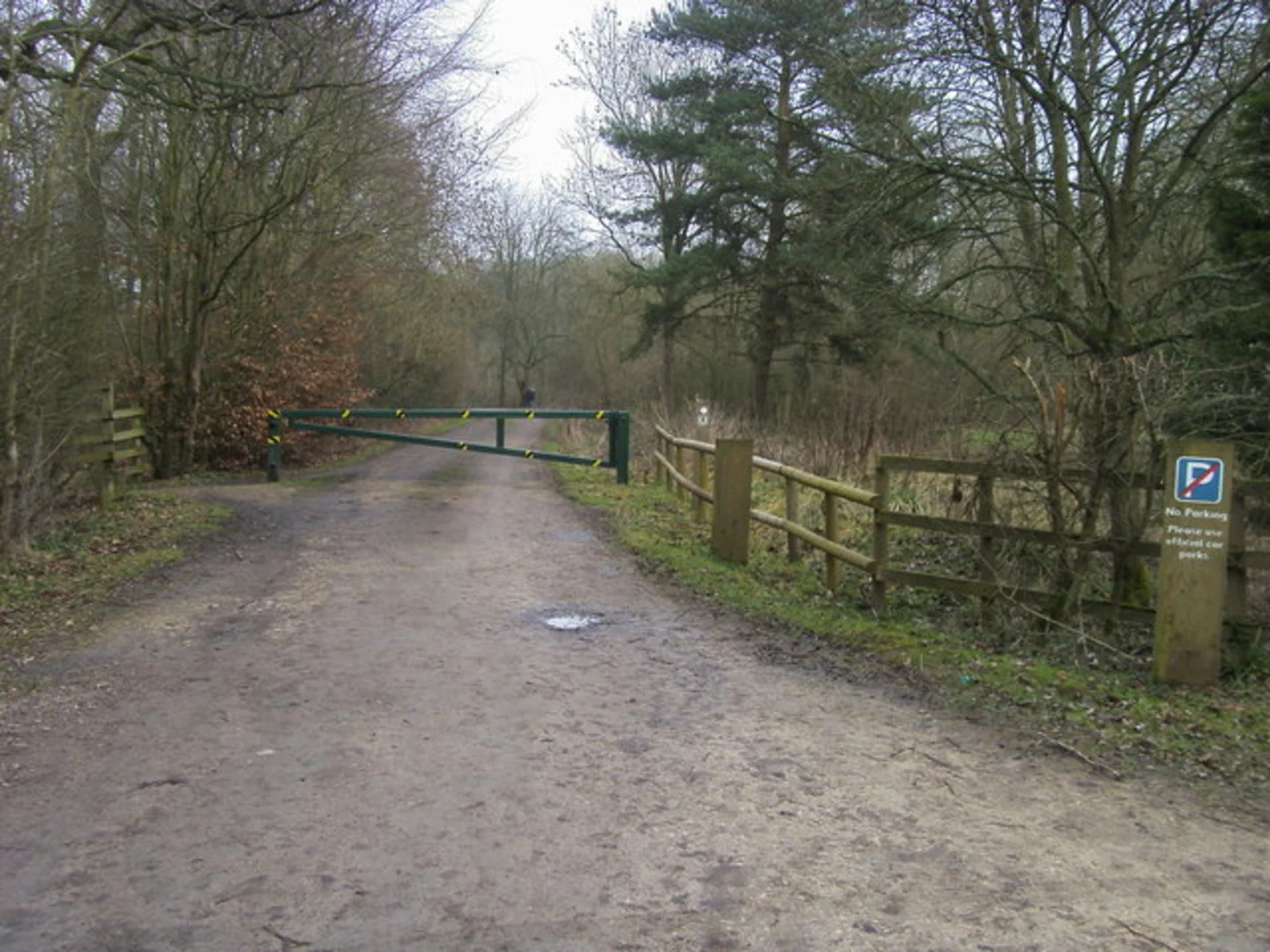 An image depicting the trail Salcey Forest Loop and its surrounding area.