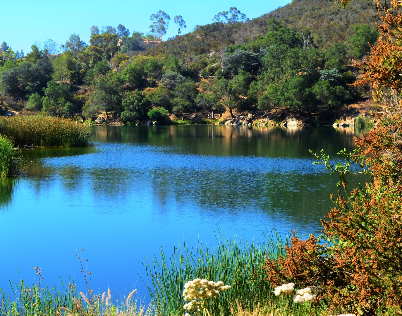 An image depicting the trail Dixon Lake North Loop and its surrounding area.