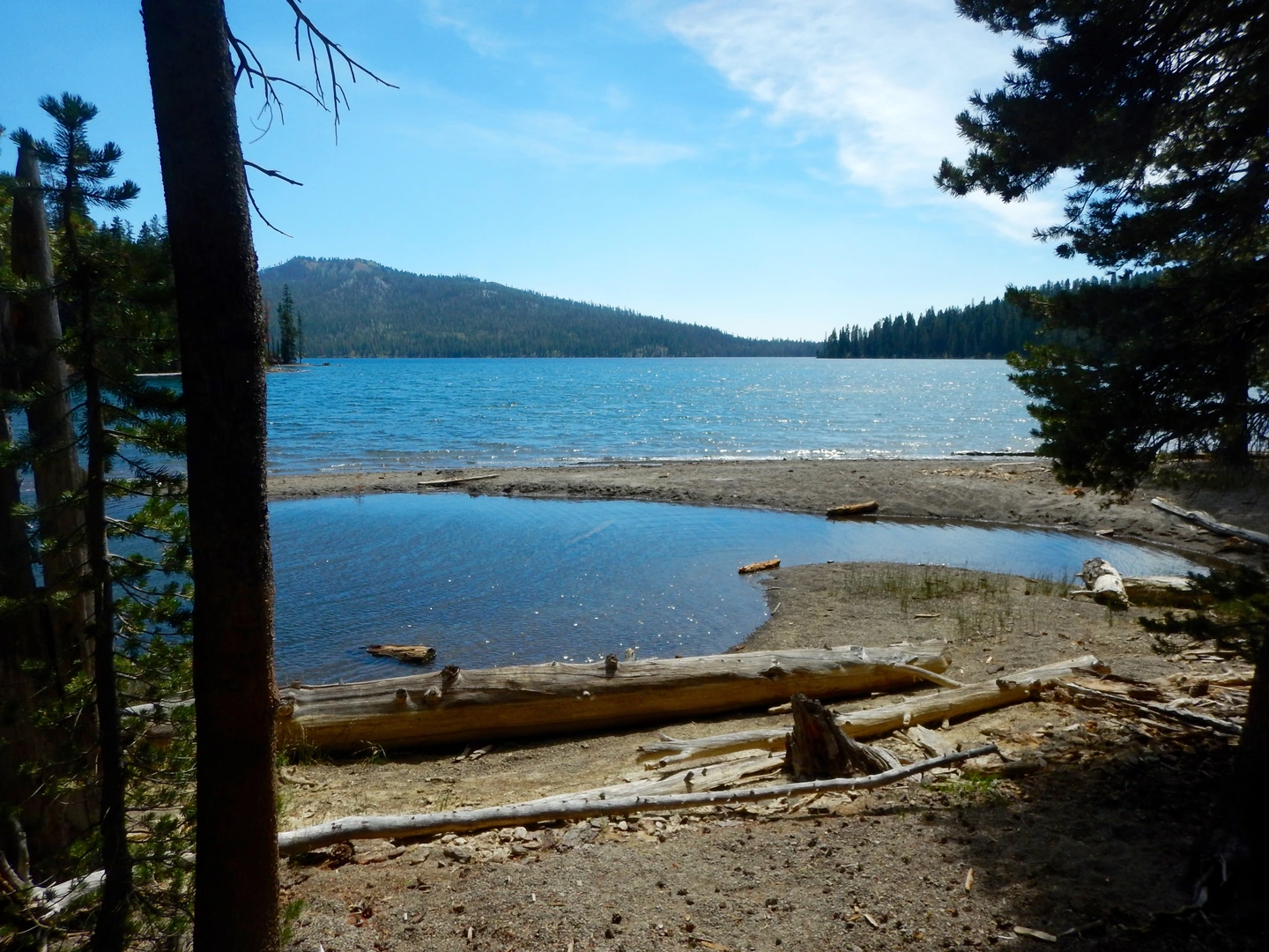 An image depicting the trail Horseshoe Lake Trail and its surrounding area.