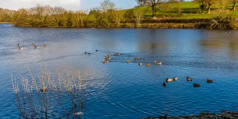 An image depicting the trail Desford - Botcheston and Thornton - Reservoir from Ratby and its surrounding area.
