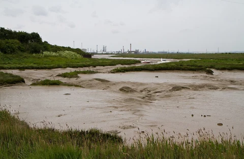 An image depicting the trail Stanford le Hope to Chalkwell Walk and its surrounding area.