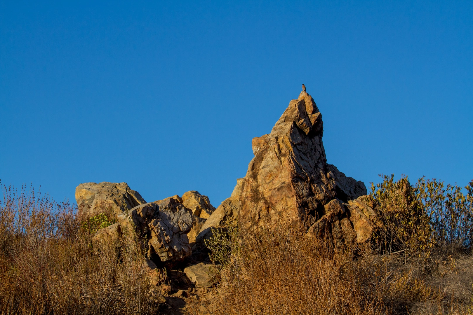 An image depicting the trail Los Pinetos and Wilson Canyon Saddle and its surrounding area.