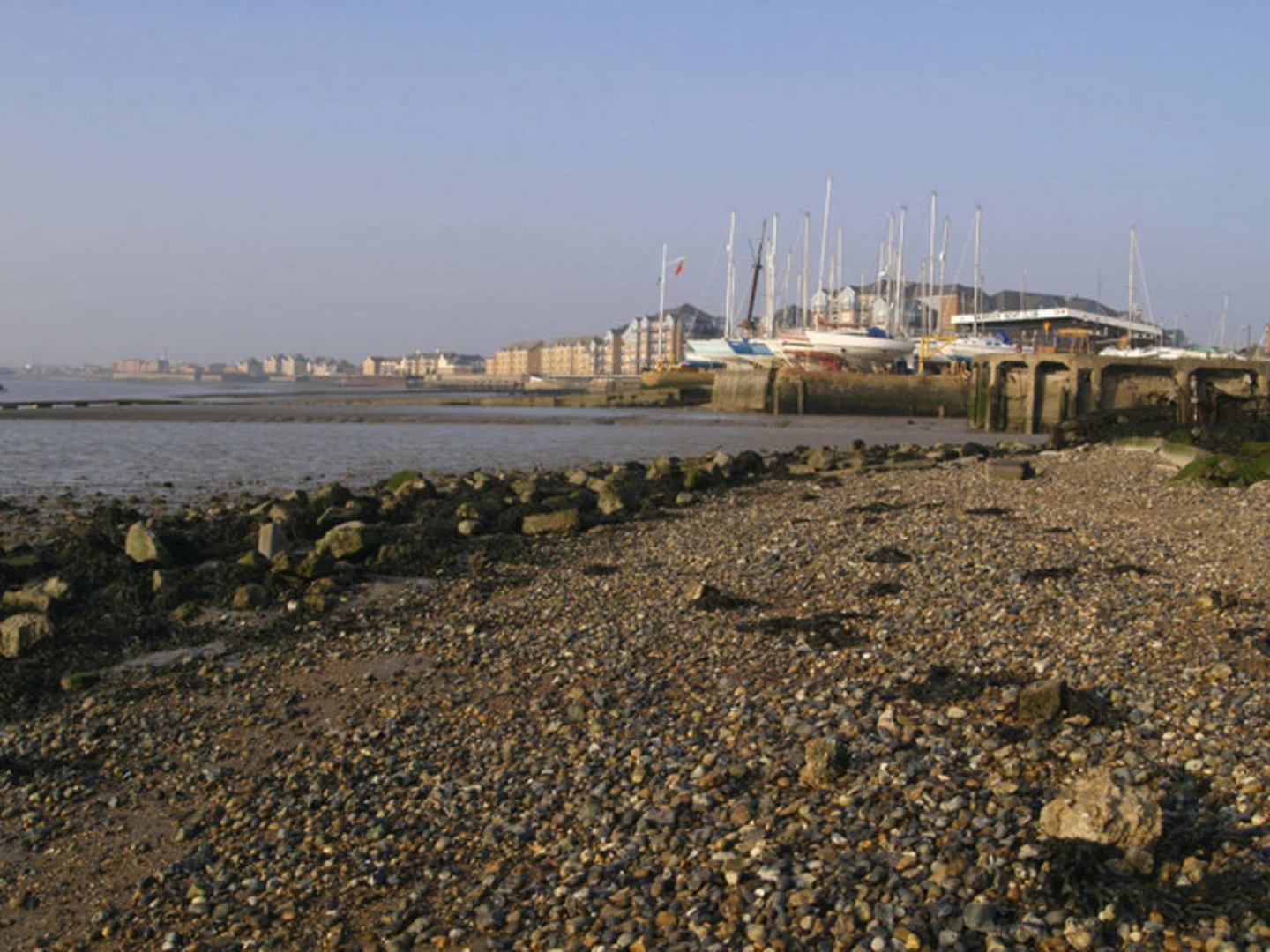 An image depicting the trail Grays Beach Riverside Park and Wharf and its surrounding area.