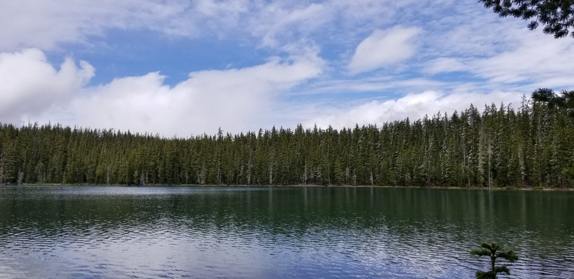 An image depicting the trail Bobby Lake Trail and its surrounding area.
