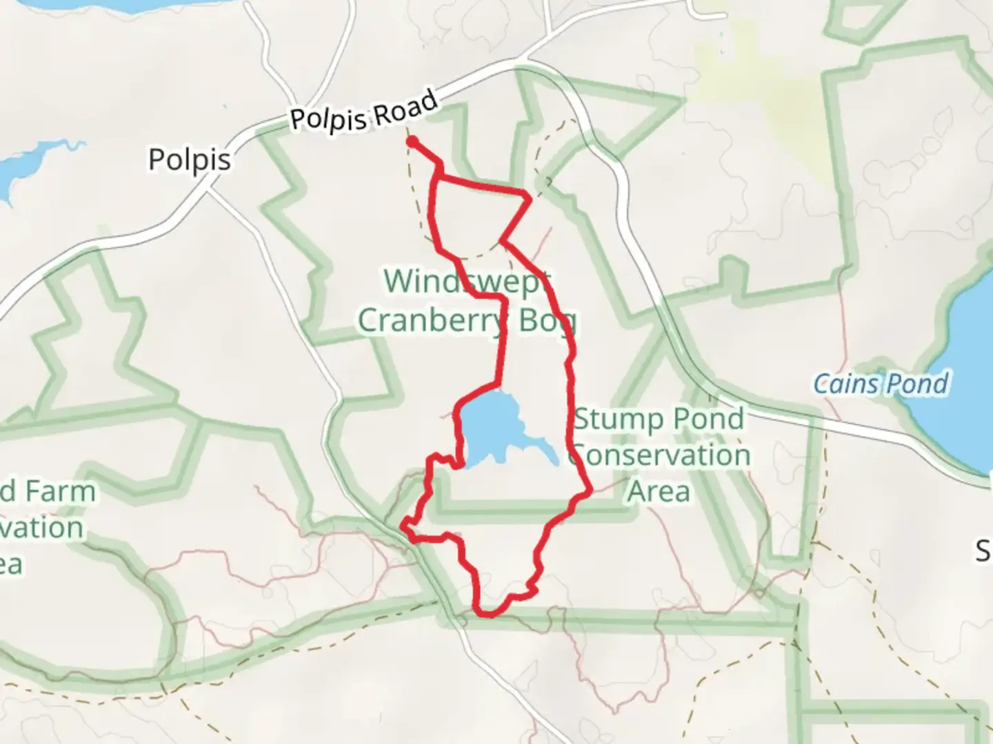 An image depicting the trail Spotsa Swamp Loop and its surrounding area.