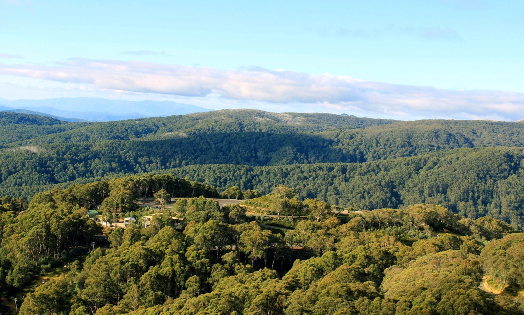 An image depicting the trail Mount Buller Traverse Trail and its surrounding area.
