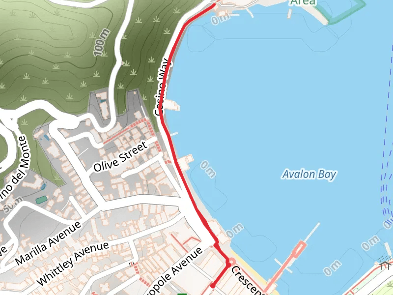 Walk along Avalon Bay mobile static map