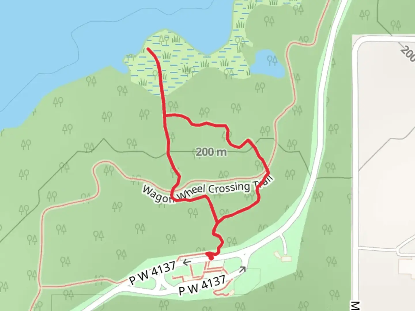 An image depicting the trail Lost Pines Loop Trail and its surrounding area.