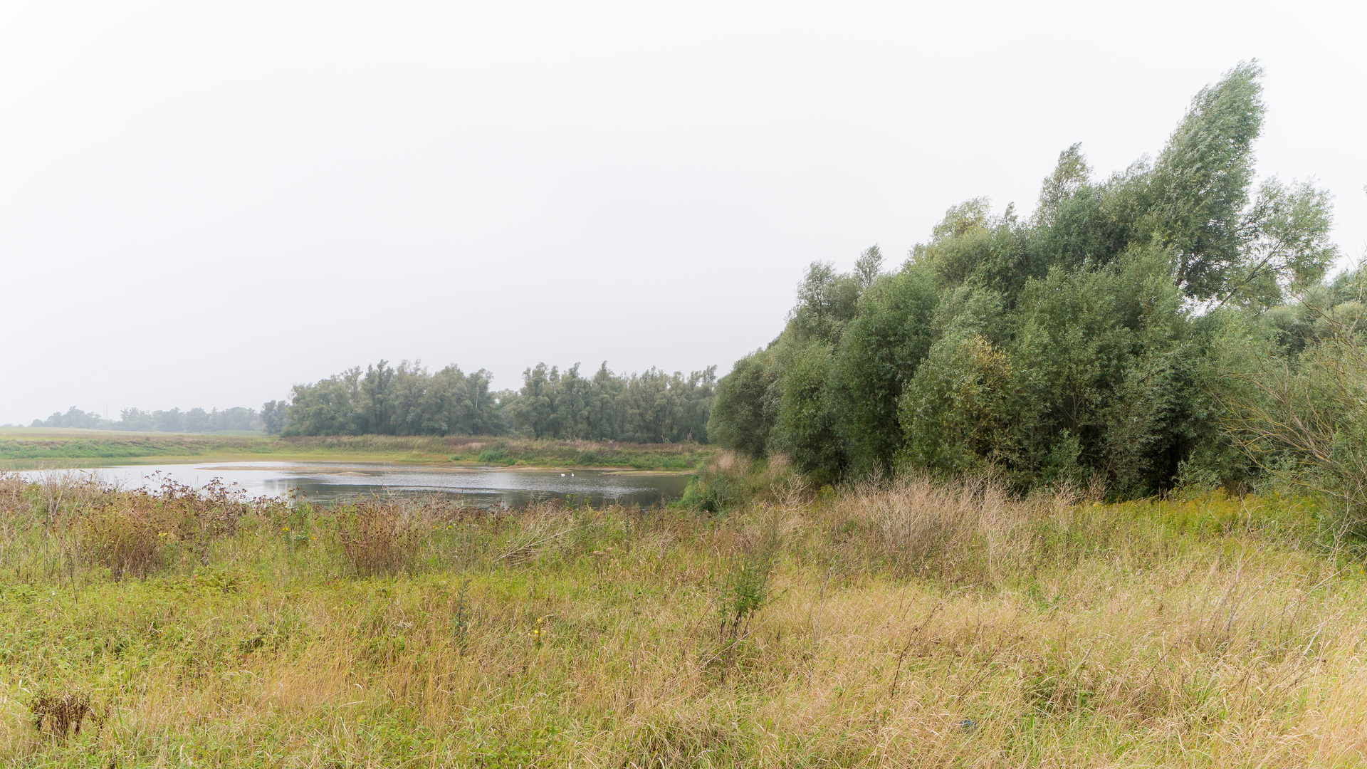 An image depicting the trail Millingen aan de Rijn to Buiting via De Bijland and De Wild and its surrounding area.