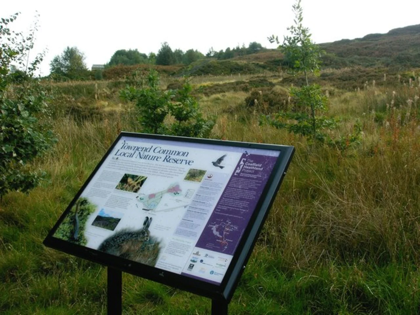 An image depicting the trail Cockshot Hill Loop and its surrounding area.