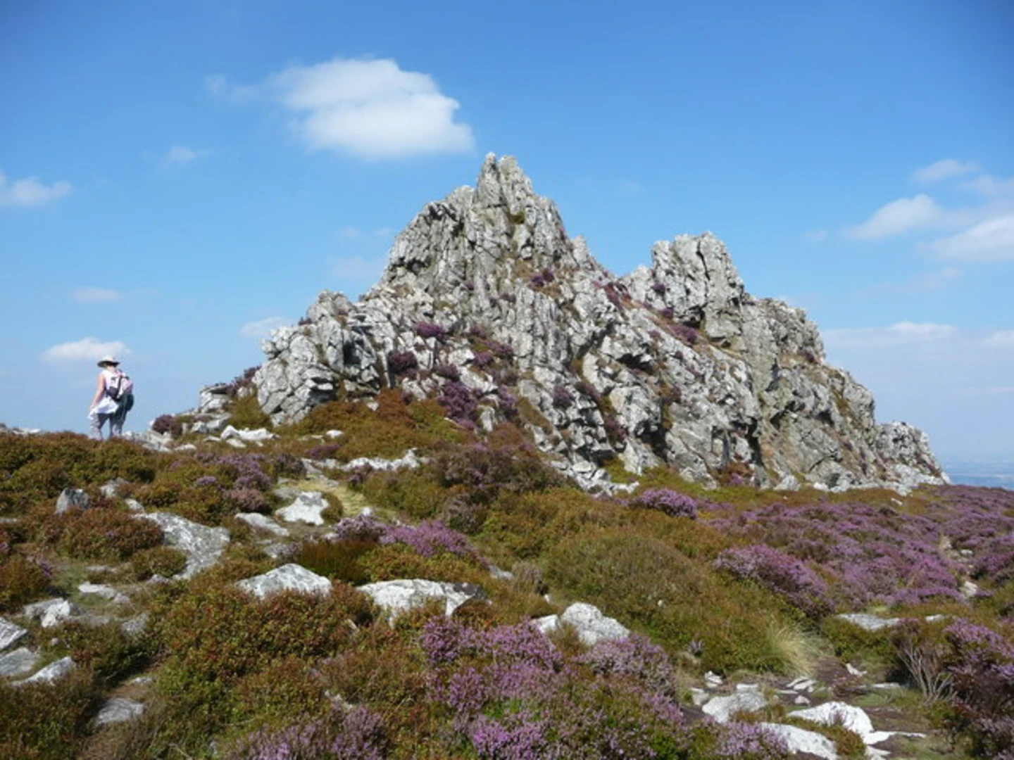 An image depicting the trail Manstone Rock and Devil's Chair Loop - Stiperstones National Nature Reserve and its surrounding area.