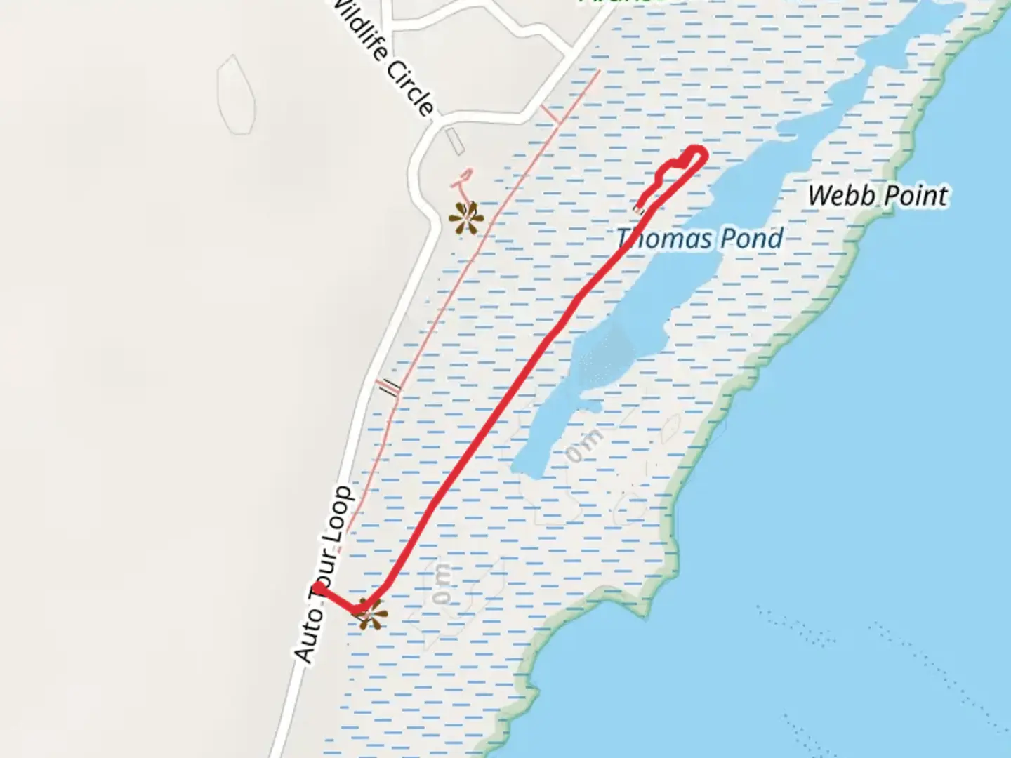 An image depicting the trail Heron Flats Trail and its surrounding area.