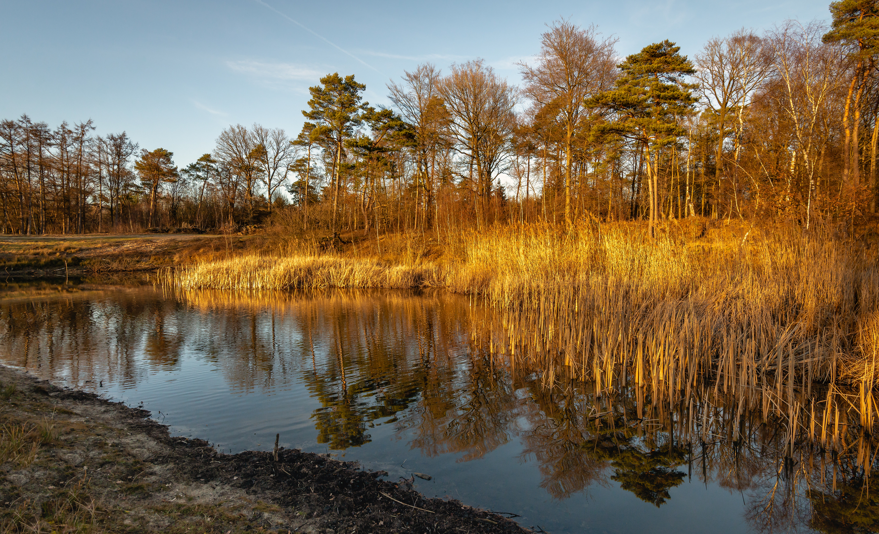 An image depicting the trail Boswachterij Leersum and Leersumsche Loop and its surrounding area.