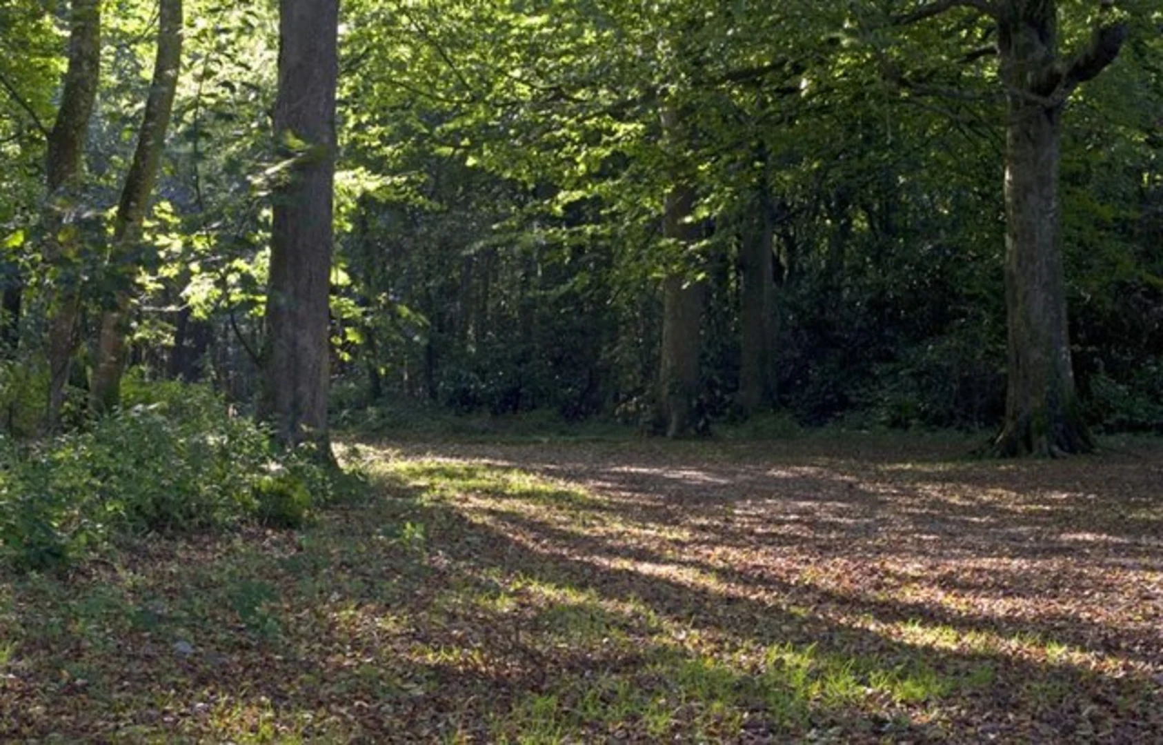 An image depicting the trail Portreath to North Cliffs Loop and its surrounding area.