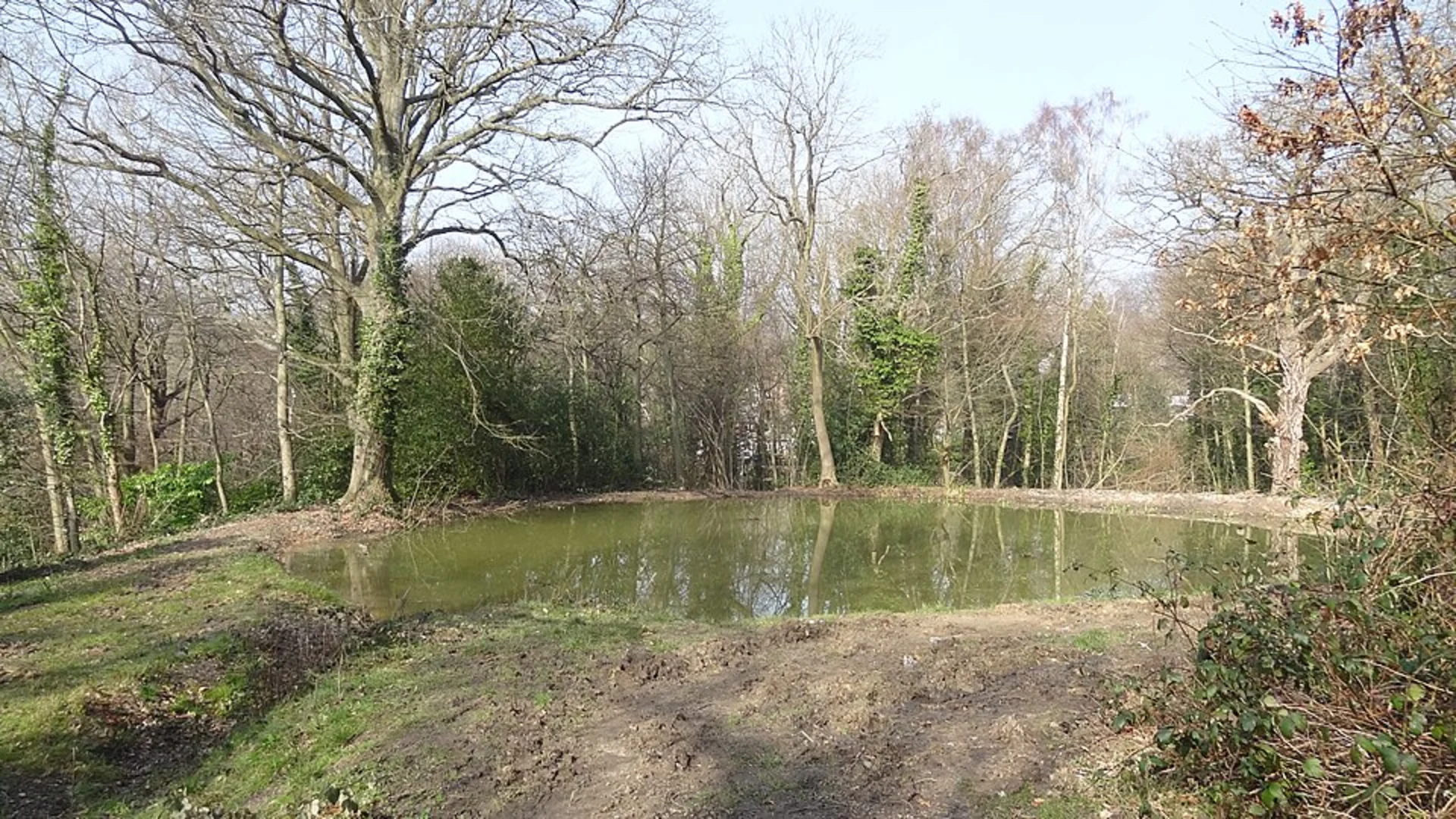 An image depicting the trail Hayes to Hamsey Green Walk and its surrounding area.