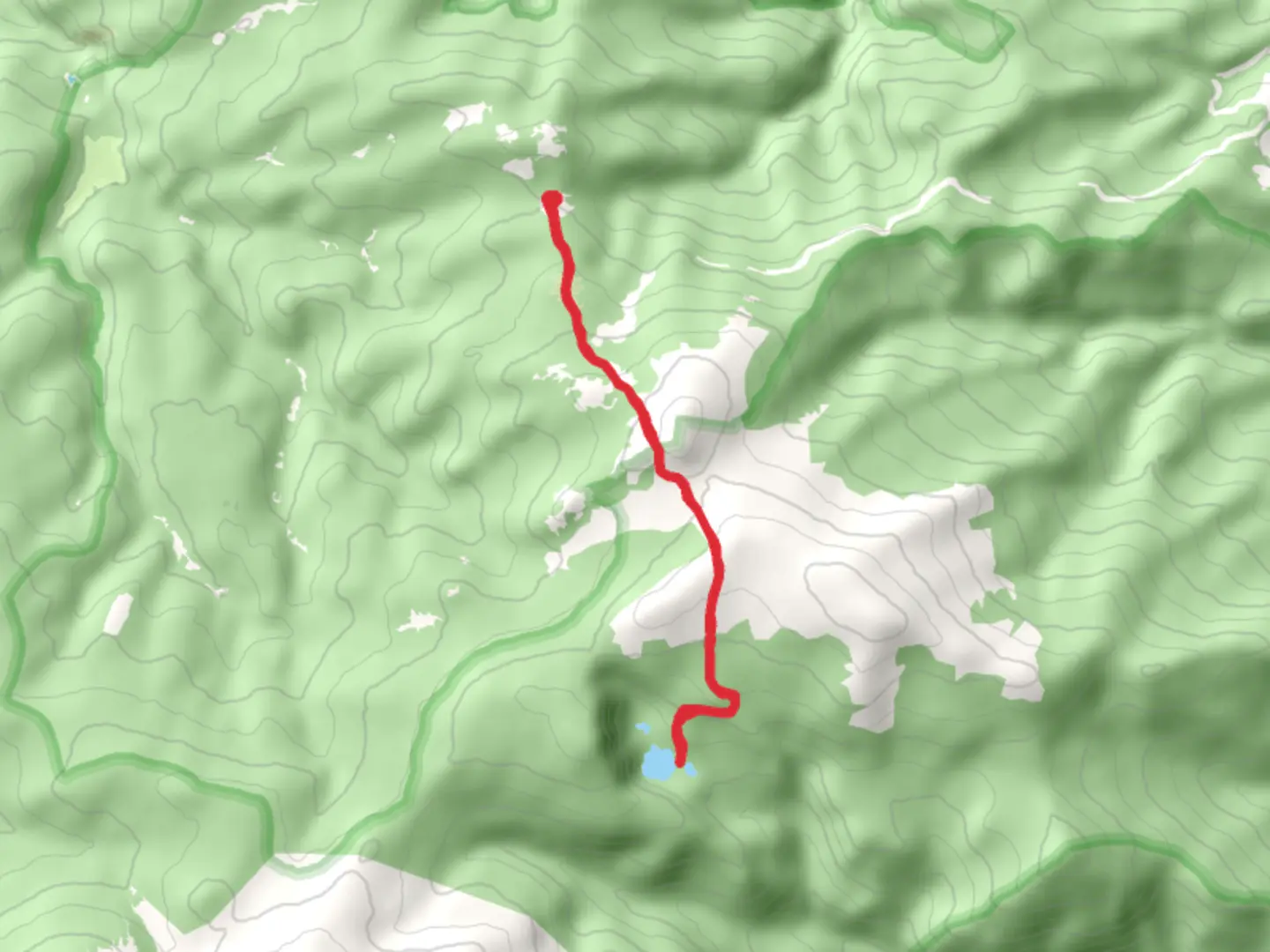An image depicting the trail Browns Lake and Timberline Lake and its surrounding area.