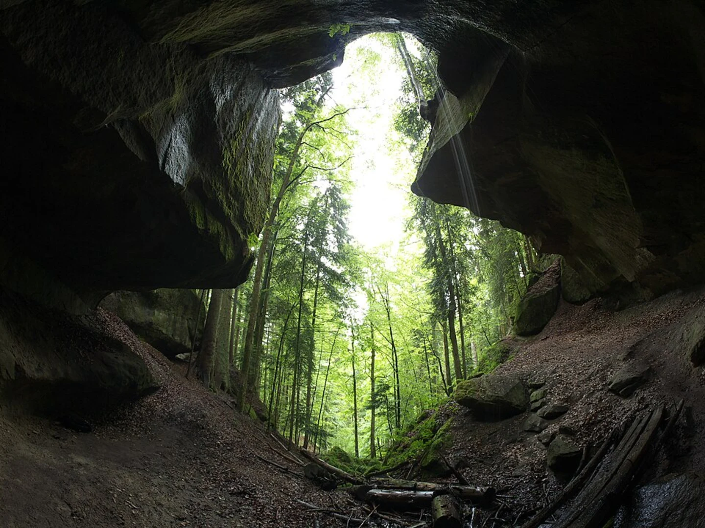 An image depicting the trail Volksdorf and Naturdenkmal Timmermoor and its surrounding area.