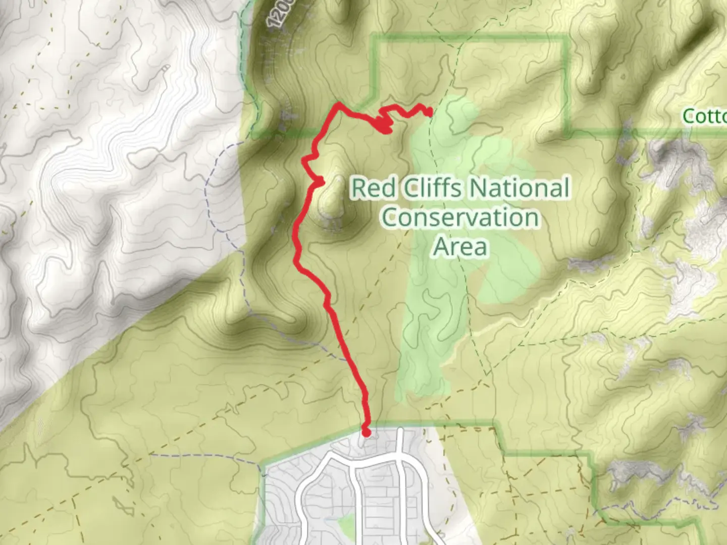 An image depicting the trail Mustang Pass Trail and its surrounding area.