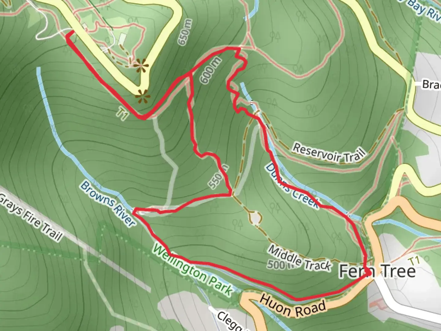 An image depicting the trail Fern Tree to The Springs Loop Trail and its surrounding area.