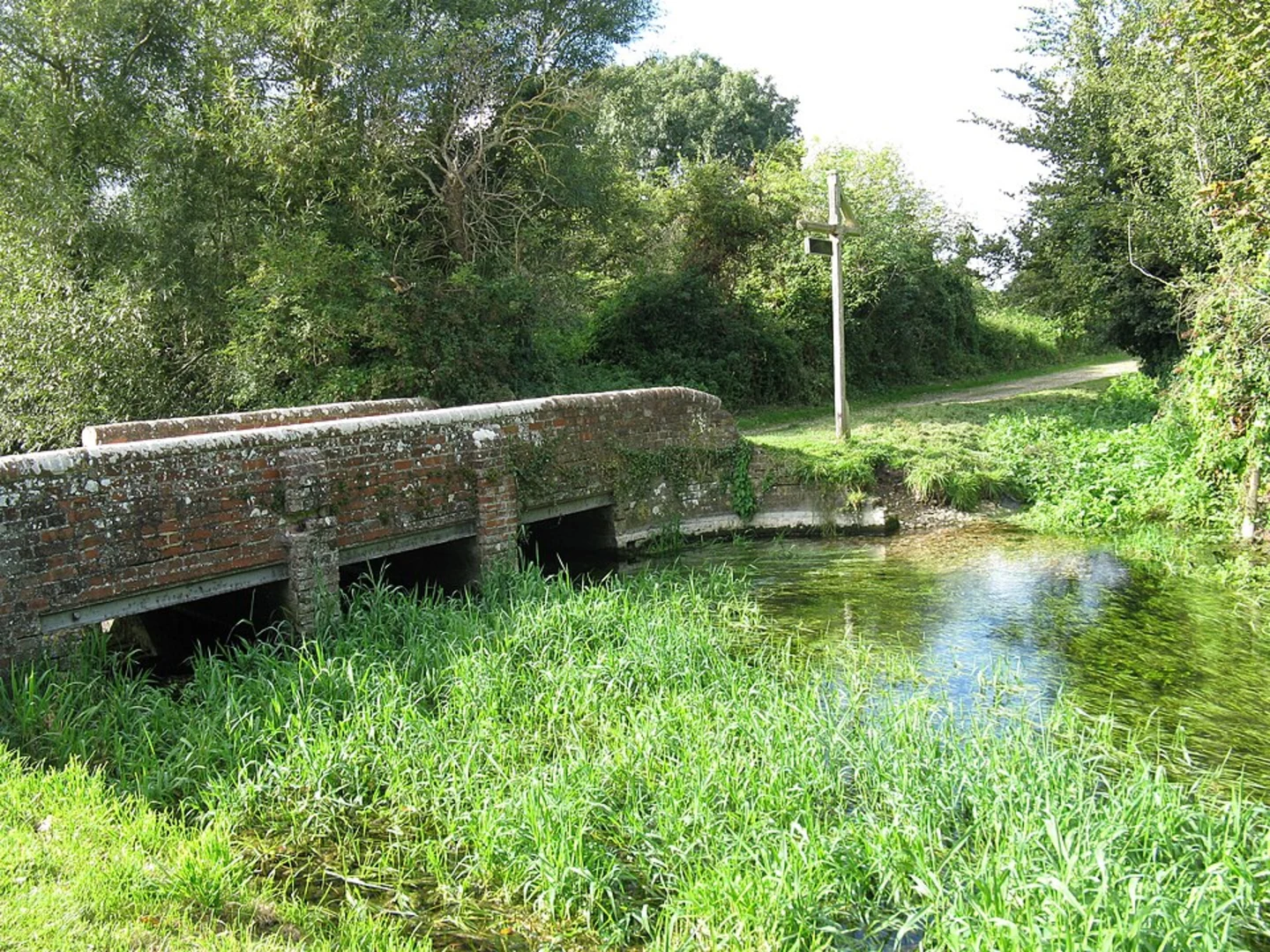 An image depicting the trail Lavant Village Green and River Lavant Loop and its surrounding area.