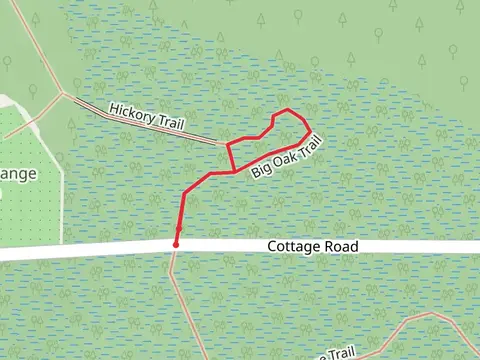 Hickory and Big Oak Trail