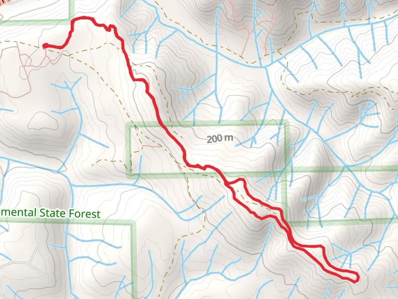 Reeded Hill Loop