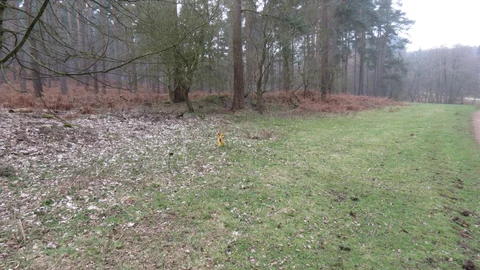 Cannock Chase Country Park