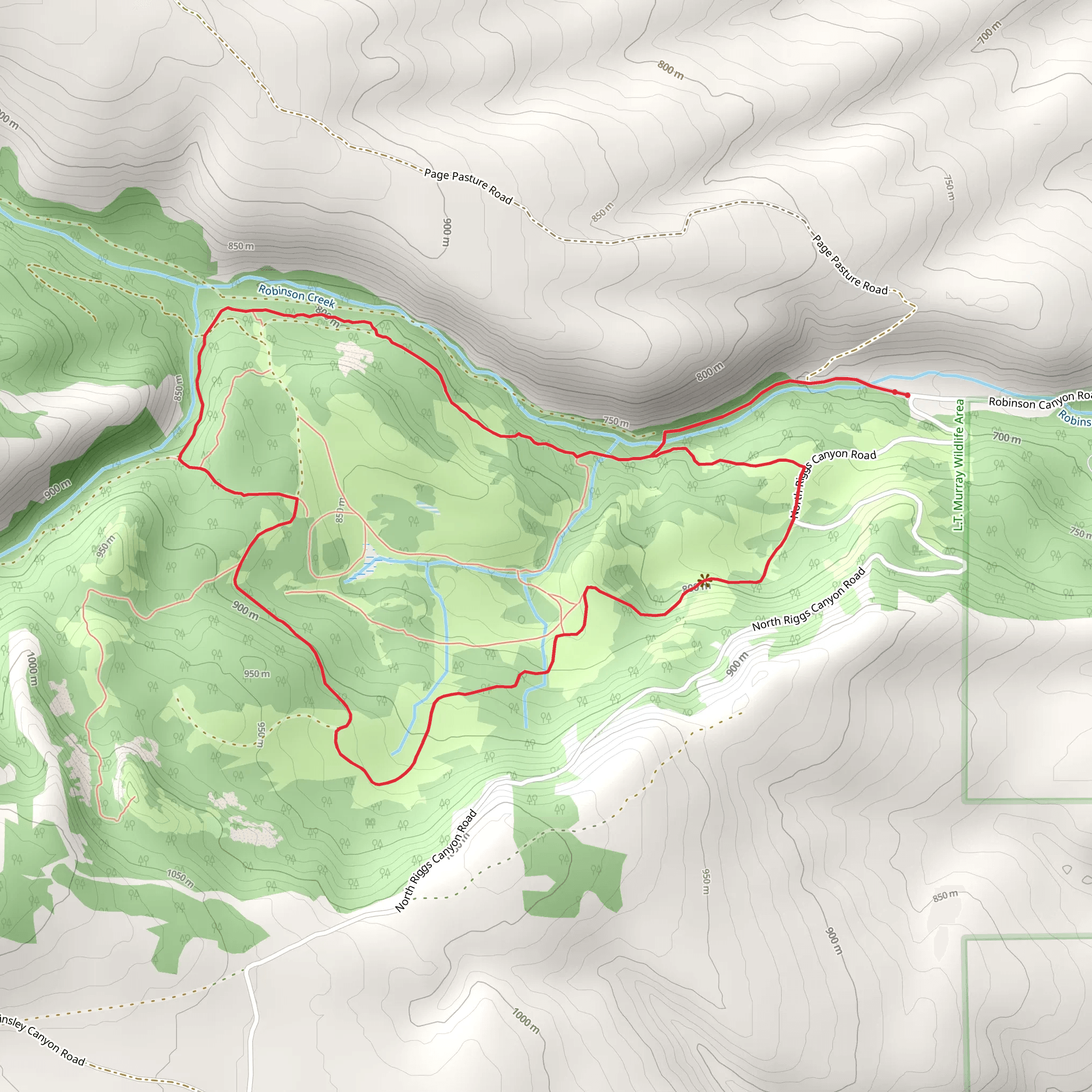 Robinson Creek and Ainsley Creek Loop mobile static map