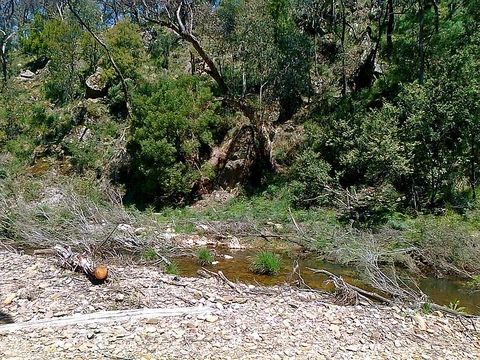 East Walk - Mine Camp Trail