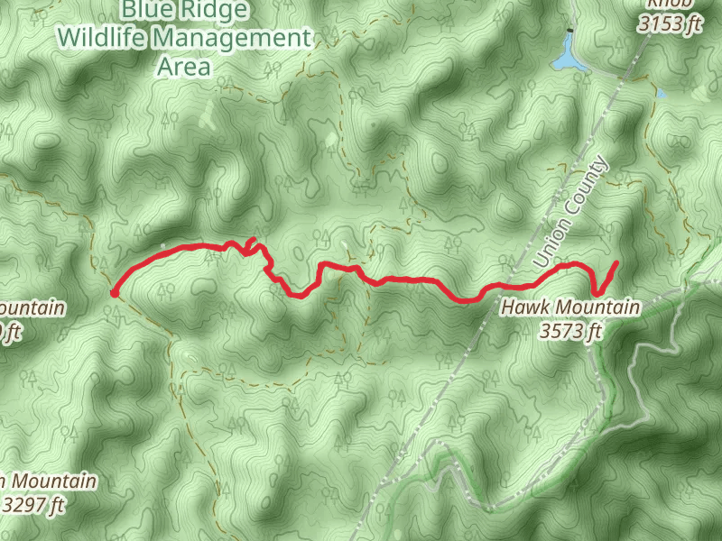Appalachian Trail and Long Creek Falls - Three Forks