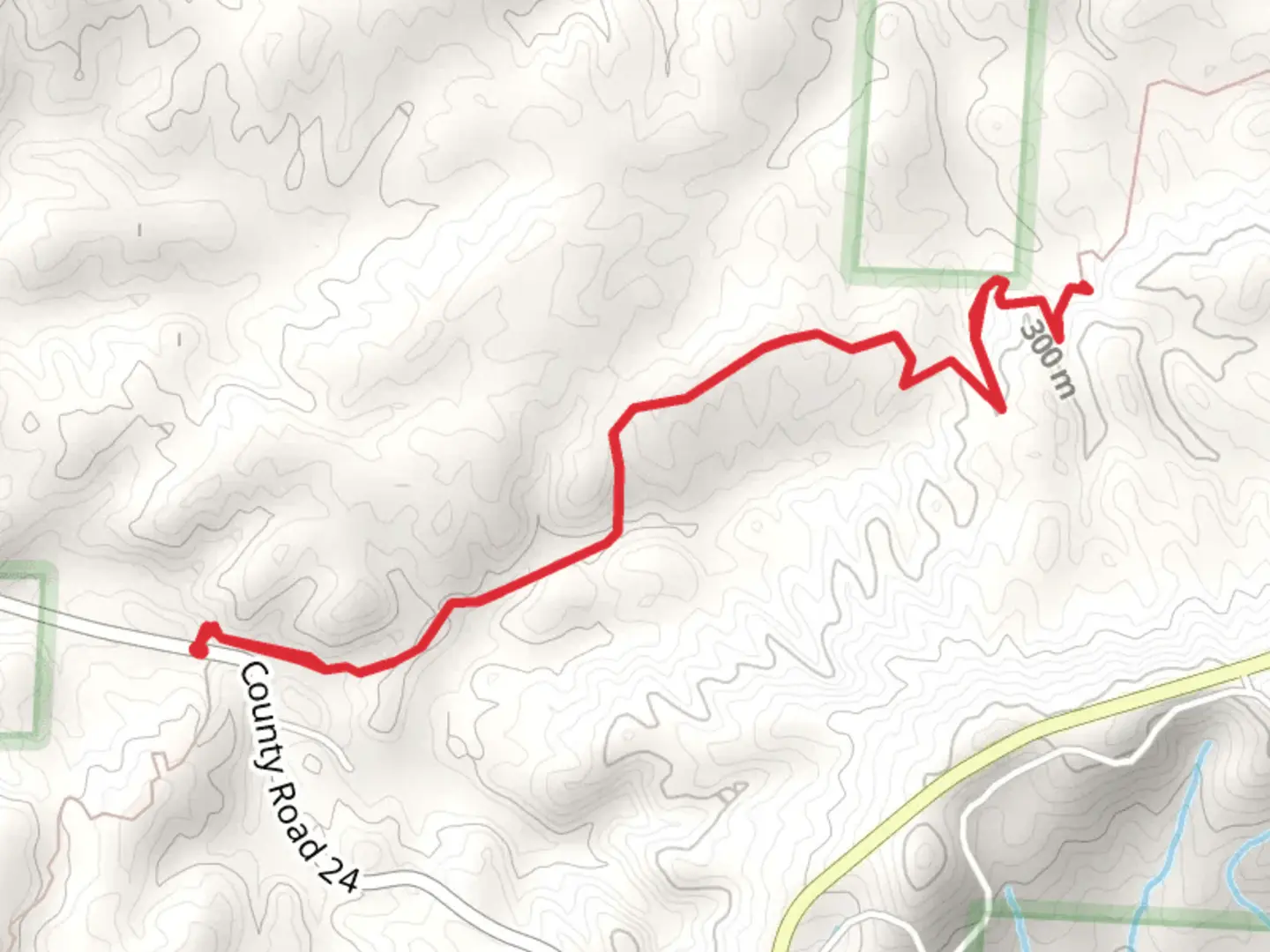 An image depicting the trail Pinhoti Short Trail - County Road 24 and its surrounding area.
