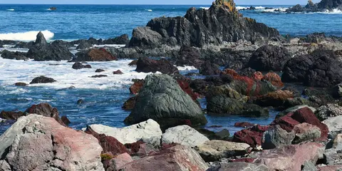An image depicting the trail South Coast Walk and its surrounding area.
