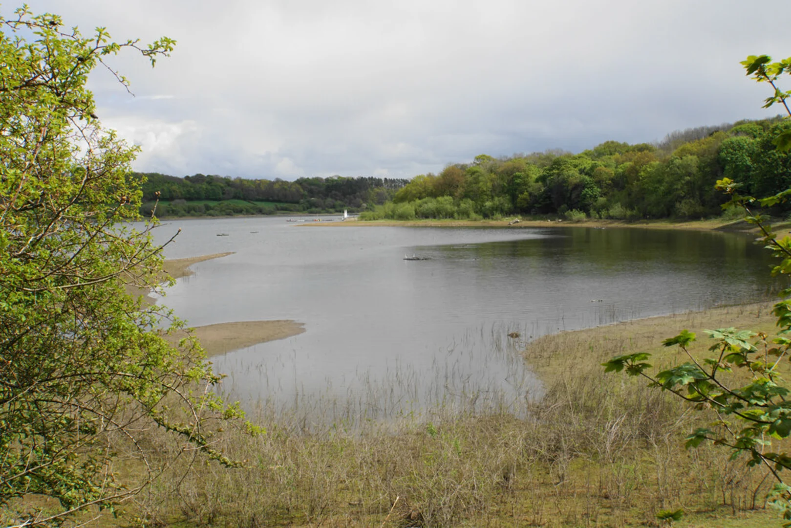 An image depicting the trail Ogston Reservoir Walk and its surrounding area.