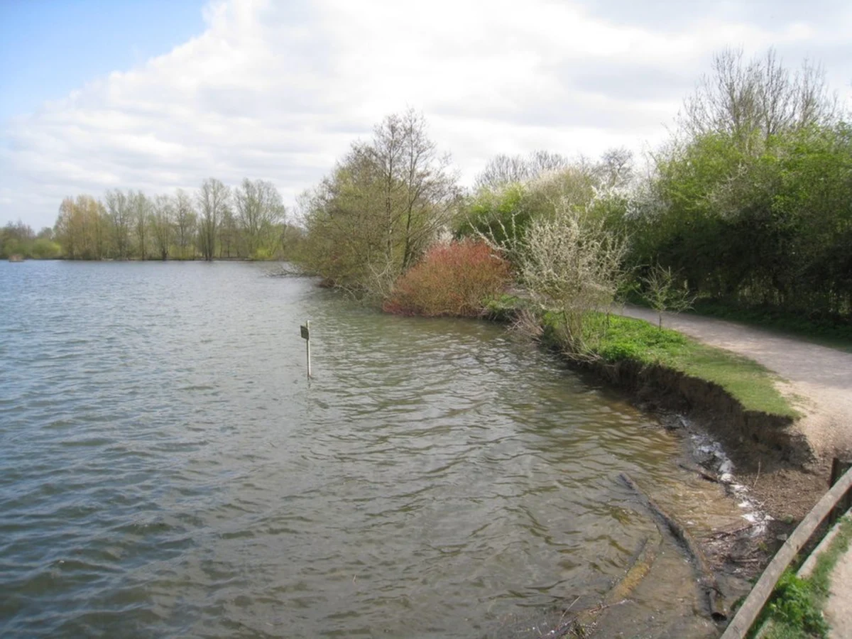 Thatcham Reedbed Nature Reserve and Greenham Country Park Loop