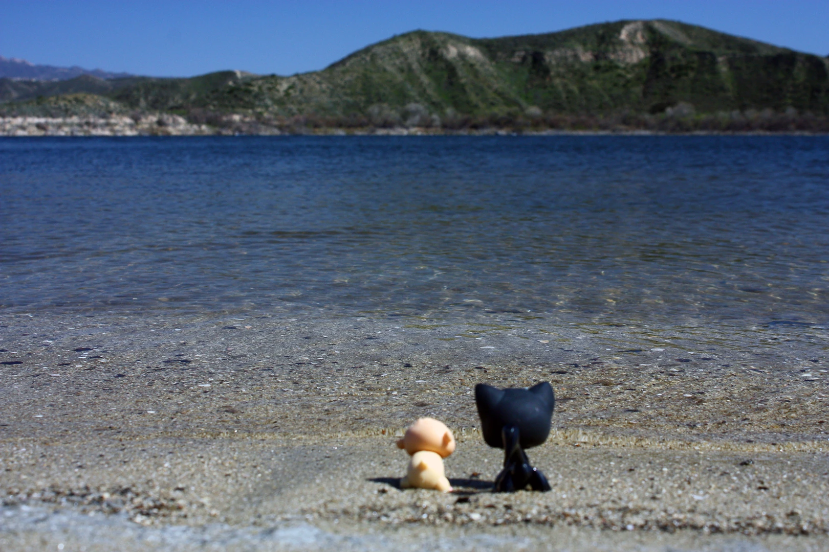 An image depicting the trail Loop Beside Vail Lake and its surrounding area.