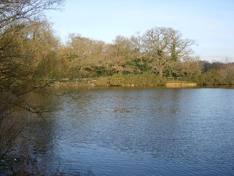 An image depicting the trail Southampton Common Loop and its surrounding area.