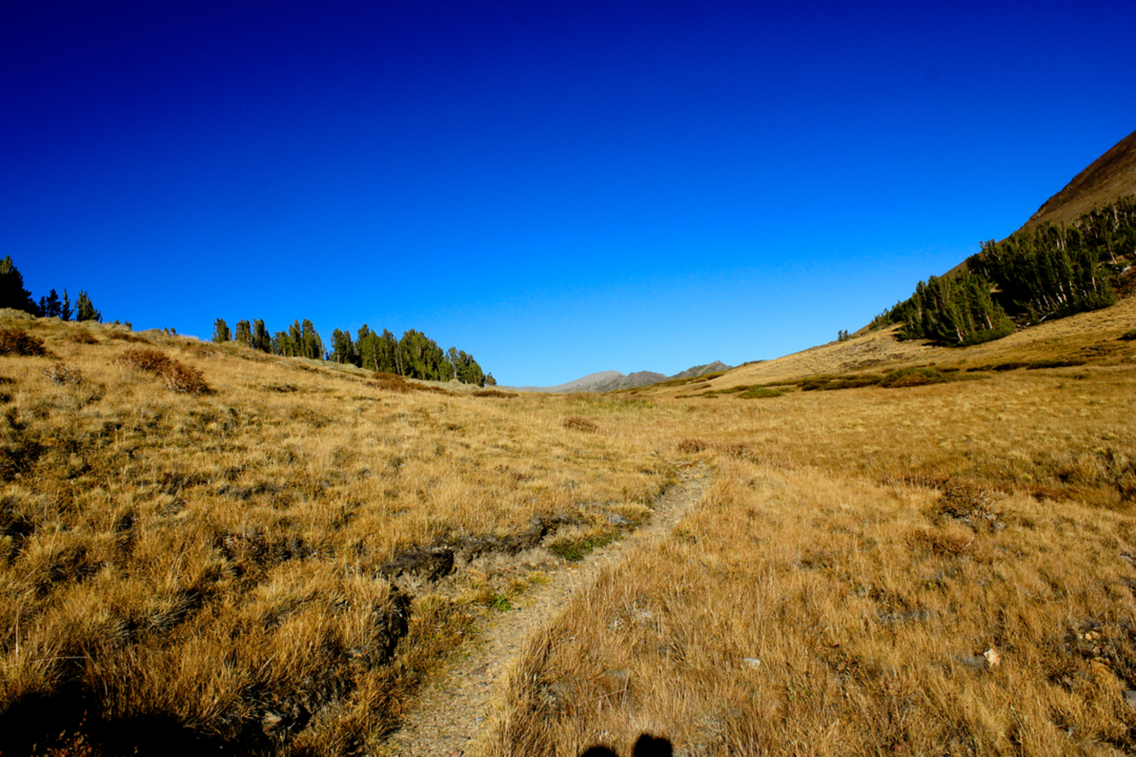 An image depicting the trail Gardisky Lake Trail and its surrounding area.