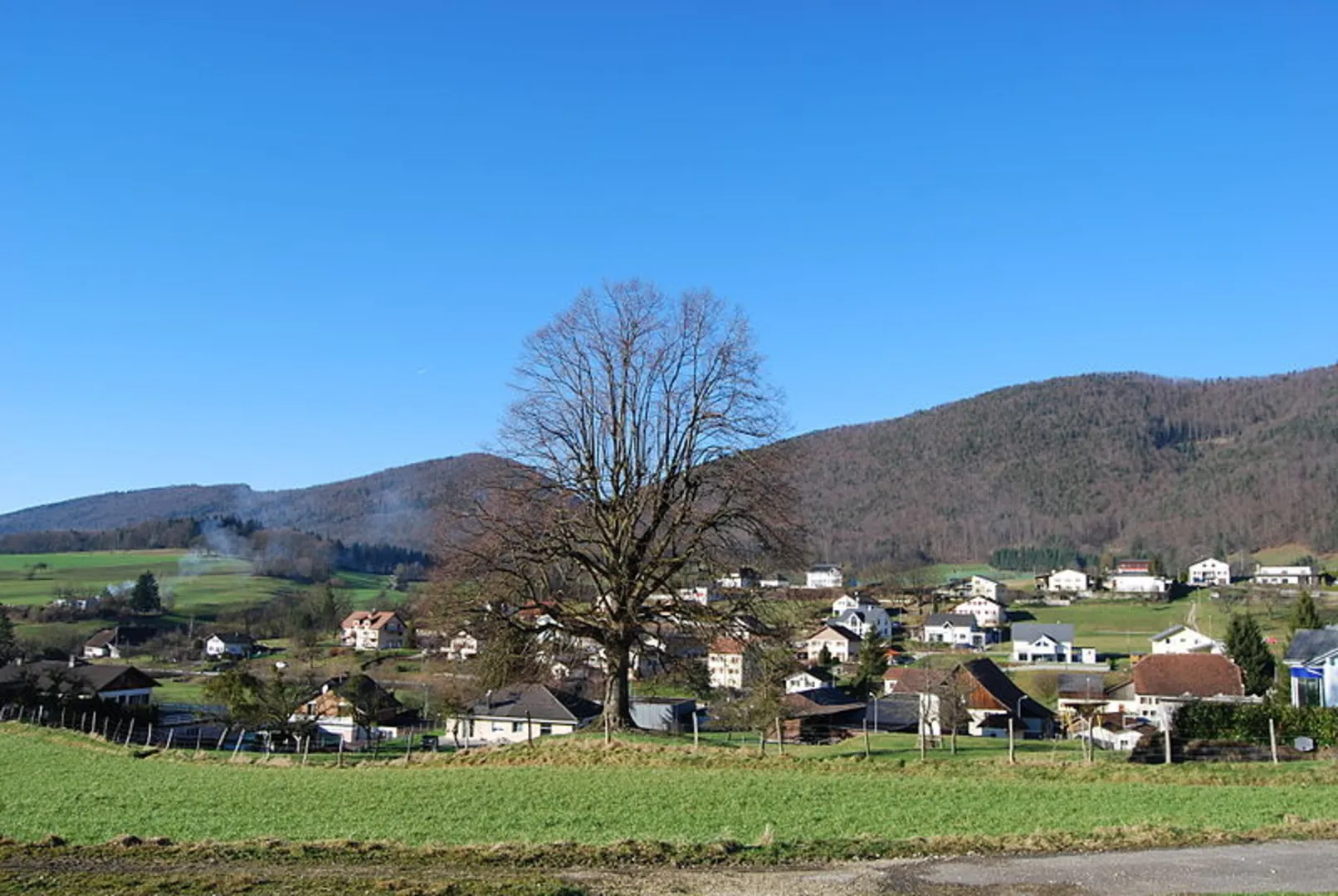 An image depicting the trail Chemin du Val Terbi and its surrounding area.