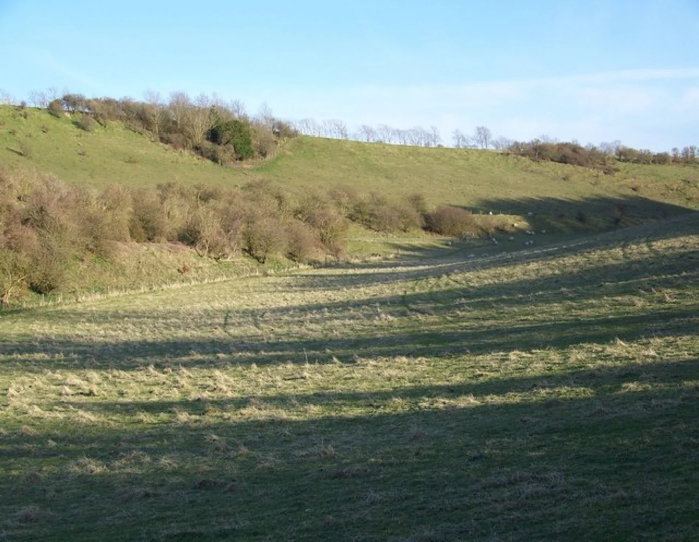 An image depicting the trail Coombe Bissett Down Nature Reserve Walk and its surrounding area.