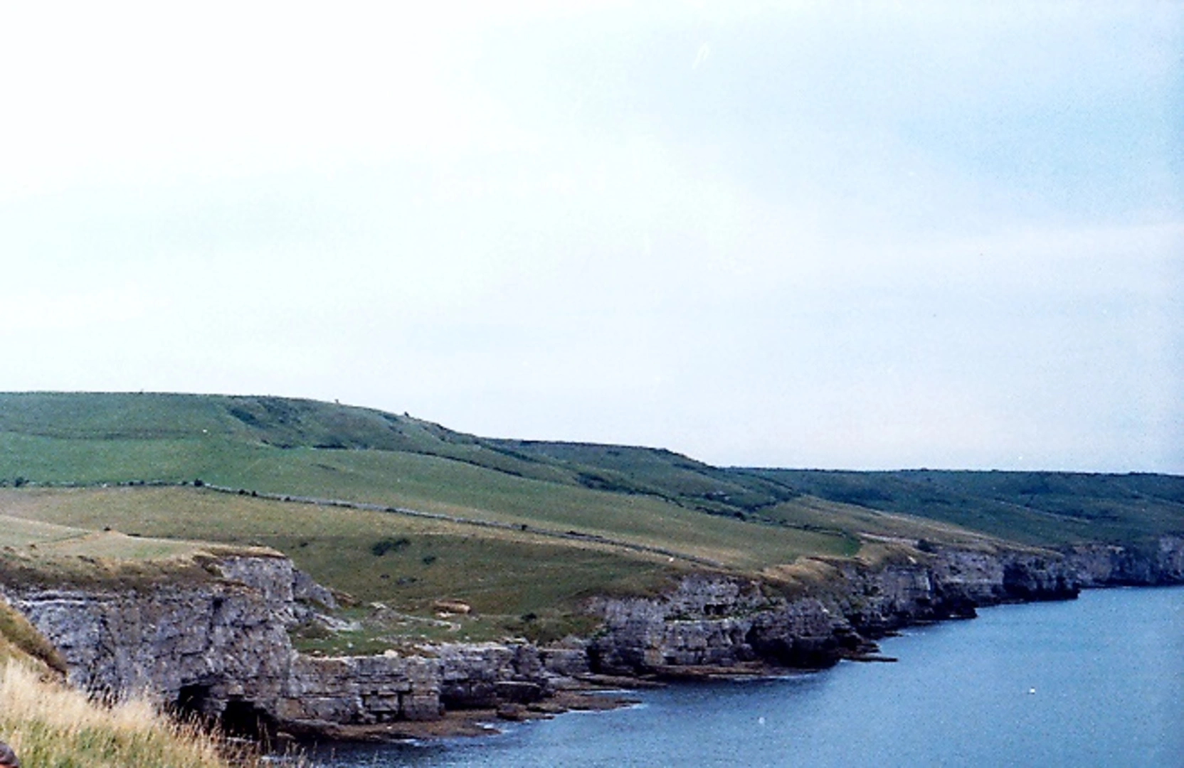 An image depicting the trail Wareham to Shell Bay Walk and its surrounding area.