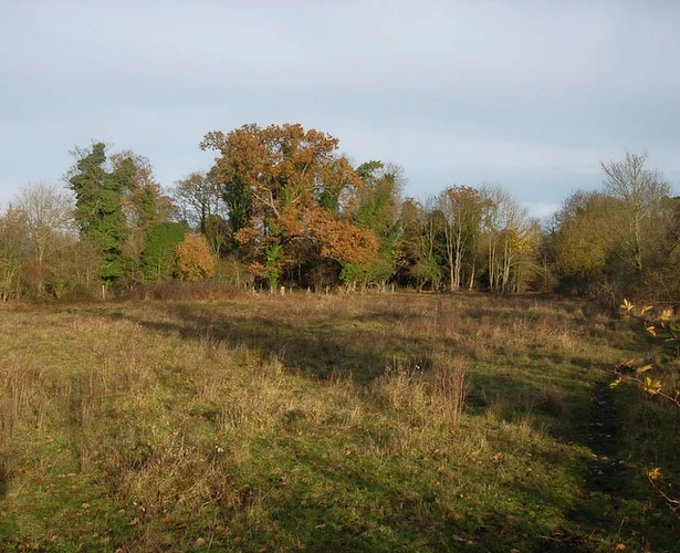 Dunmowes Manor Moat and Mutlow Hill Walk