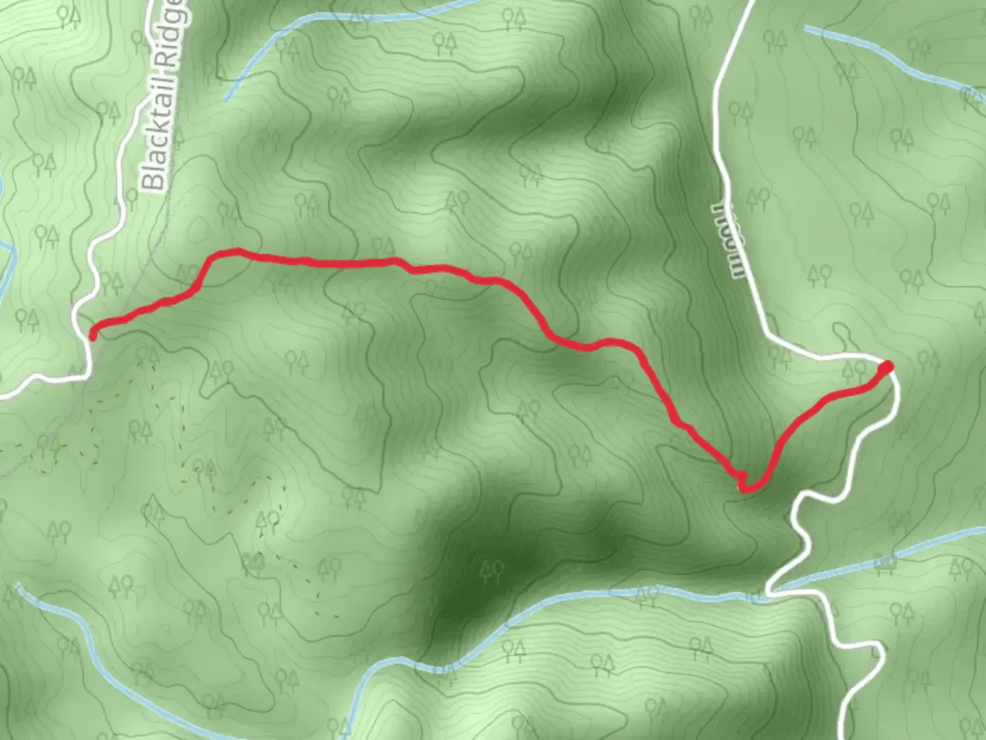 An image depicting the trail Blacktail Connection and its surrounding area.