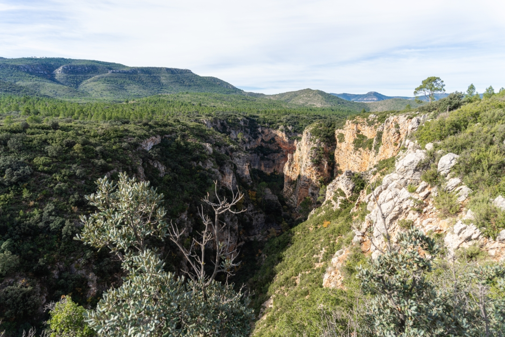 An image depicting the trail Río Blanco tuff Bridge Route SL TE 040-1 and its surrounding area.