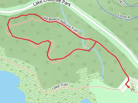 Old Beech Nature Loop Trail